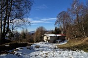 22 Casetta con alti faggi ( in vendita)